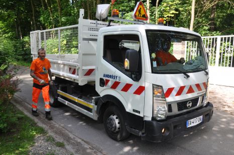 L&#039;élagage est réalisé par le service des Espaces Verts 