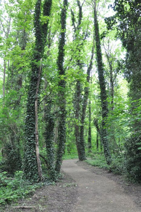 Le parc naturel Trek&#039;île © Ville d&#039;Andrésy