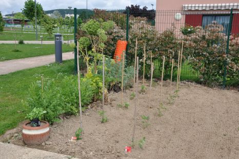 Potager parc des Cardinettes