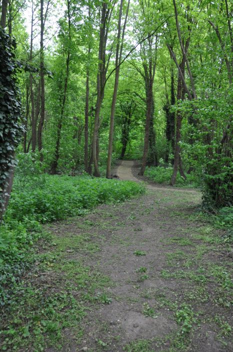 Le sentier de randonnée Trek&#039;île © Ville d&#039;Andrésy