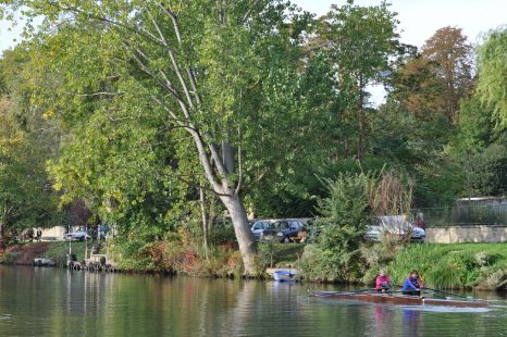 Aviron le long des bords de Seine à Andrésy