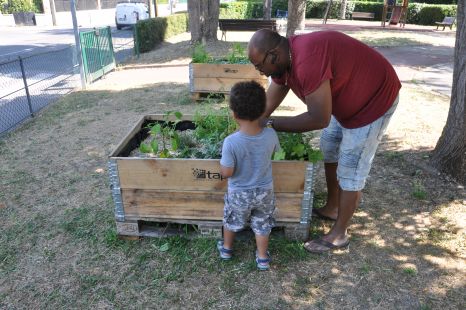 Bacs potager au square Peyré