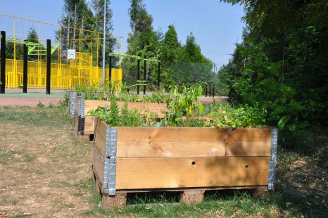 Bacs potager au parc du Plein Air