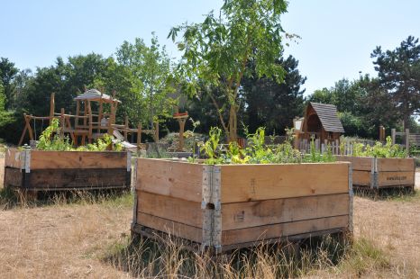 Bacs potager au parc des Vikings