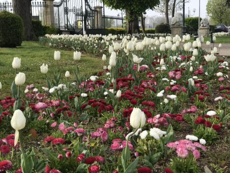 Parterre de fleurs dans le parc de l&#039;Hôtel de ville d&#039;Andrésy