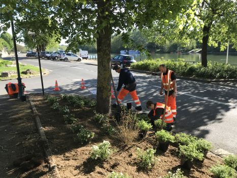 Fleurissement du centre-ville par le service des Espaces Verts