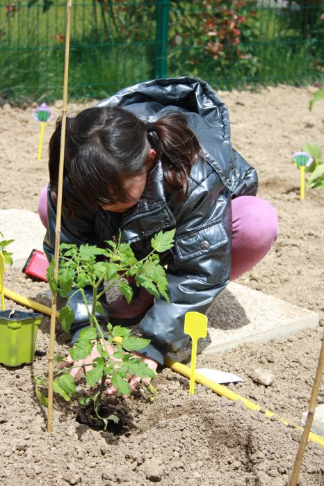 Plantations au parc des Cardinettes