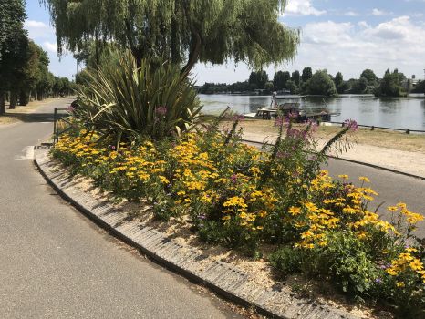 Parterre de fleurs face à la Seine à Andrésy