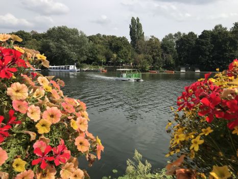 Les bords de Seine en fleur à Andrésy